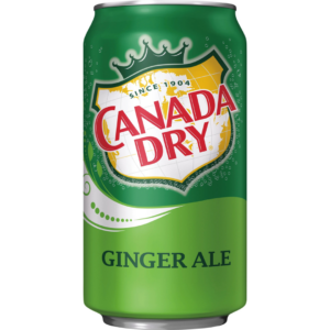 Dry Ginger Ale 375ml CTN/24