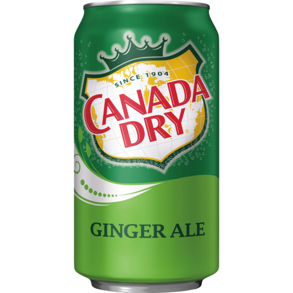 Dry Ginger Ale 375ml CTN/24
