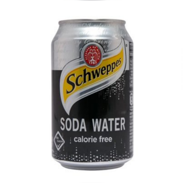 Schweppes/Solo Soda Water 250ml CTN/24